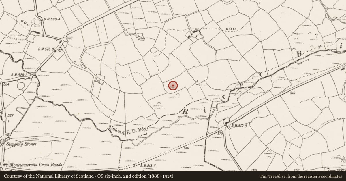 Ordnance Survey six-inch map, 2nd edition (1888–1915) covering the location of Ringfort - rath, Garranereagh, County Cork, with a pin at the register's coordinates