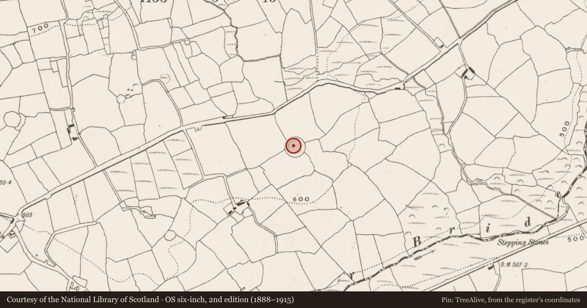 Ordnance Survey six-inch map, 2nd edition (1888–1915) covering the location of Ringfort - rath, Garranereagh, County Cork, with a pin at the register's coordinates