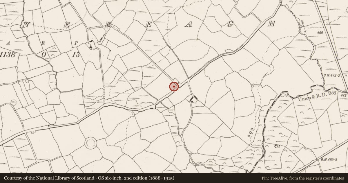 Ordnance Survey six-inch map, 2nd edition (1888–1915) covering the location of Ringfort - rath, Garranereagh, County Cork, with a pin at the register's coordinates