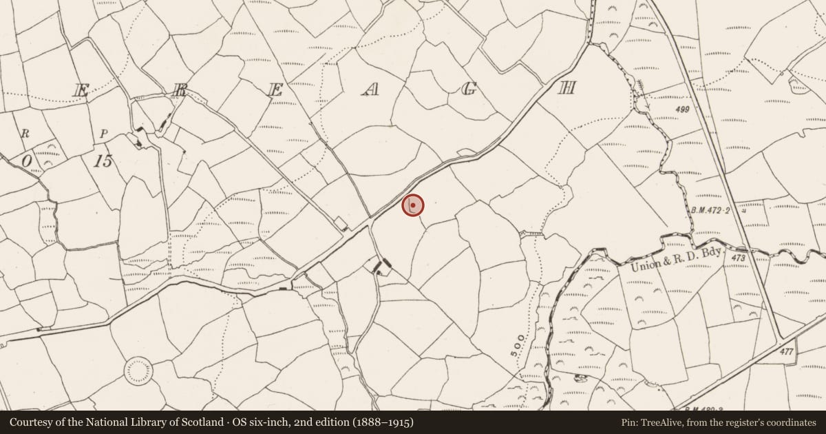 Ordnance Survey six-inch map, 2nd edition (1888–1915) covering the location of Kiln - lime, Garranereagh, County Cork, with a pin at the register's coordinates