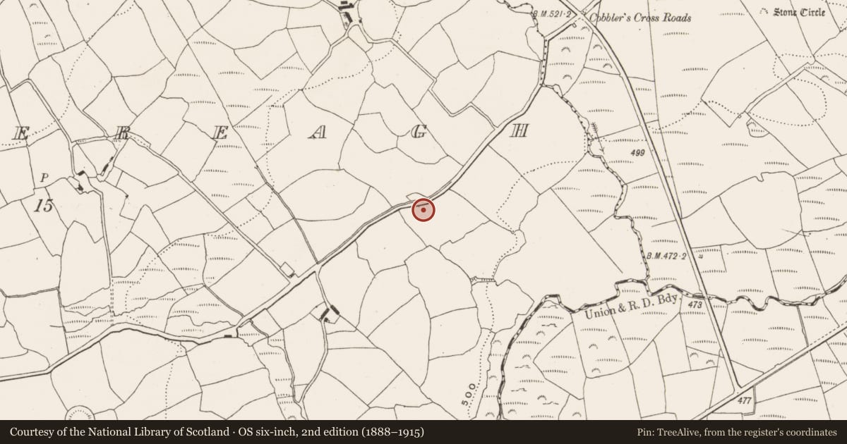 Ordnance Survey six-inch map, 2nd edition (1888–1915) covering the location of Standing stone, Garranereagh, County Cork, with a pin at the register's coordinates