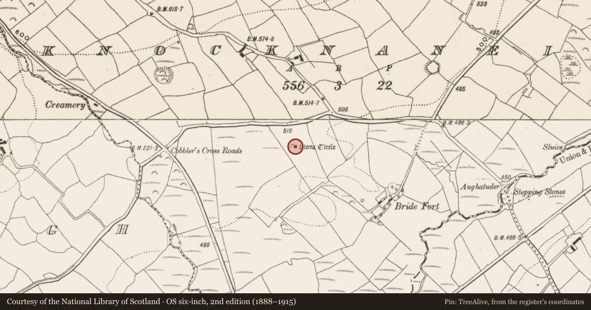 Ordnance Survey six-inch map, 2nd edition (1888–1915) covering the location of Stone circle - multiple-stone, Knocknaneirk, County Cork, with a pin at the register's coordinates