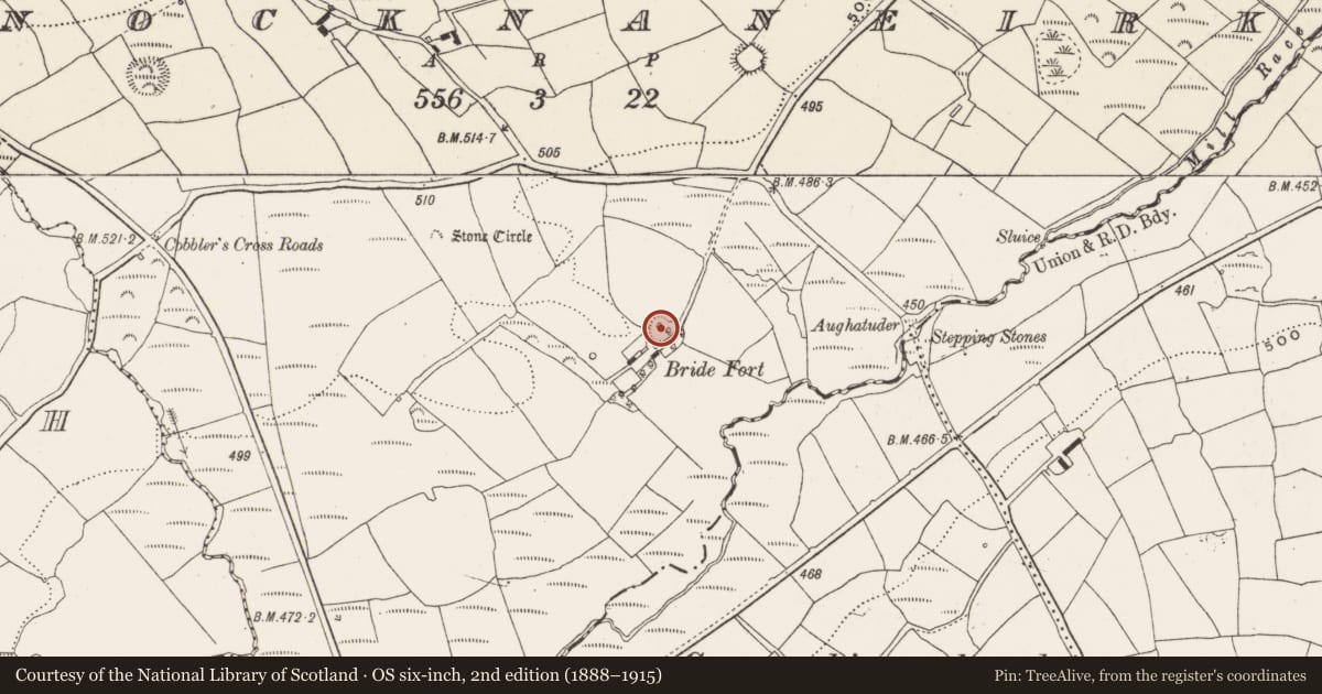Ordnance Survey six-inch map, 2nd edition (1888–1915) covering the location of Ringfort - rath, Knocknaneirk, County Cork, with a pin at the register's coordinates