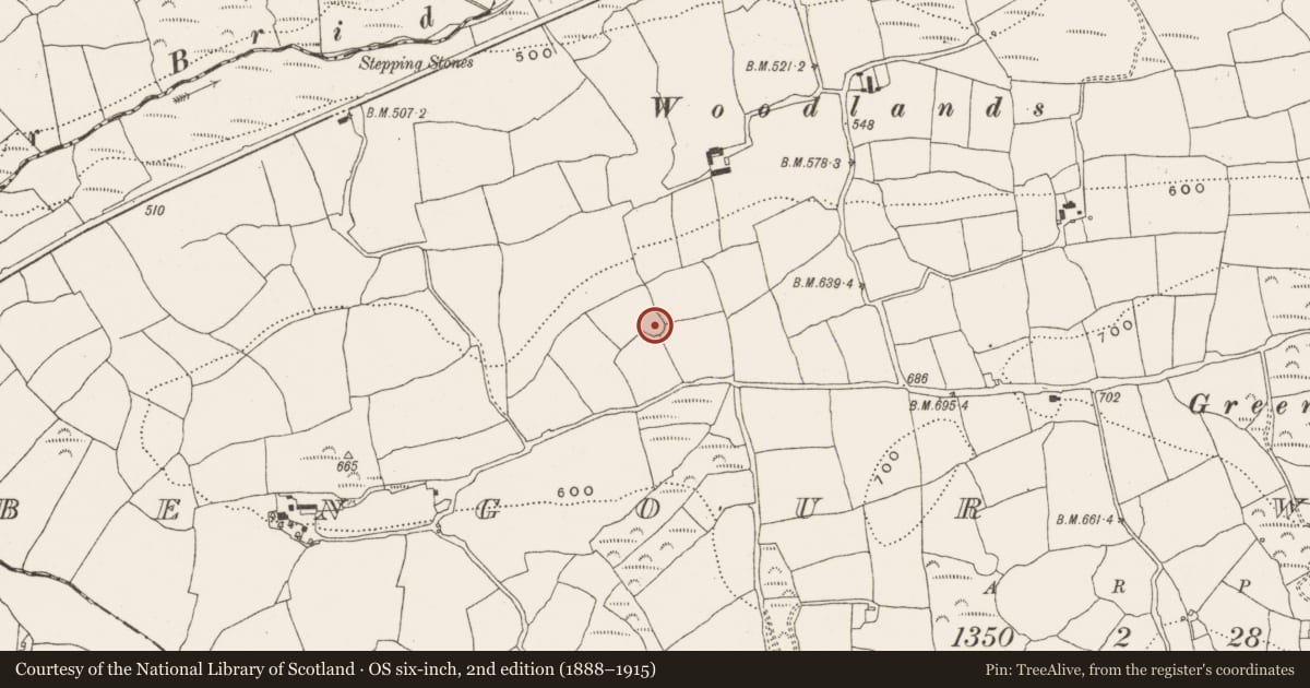 Ordnance Survey six-inch map, 2nd edition (1888–1915) covering the location of Ringfort - rath, Bengour West, County Cork, with a pin at the register's coordinates