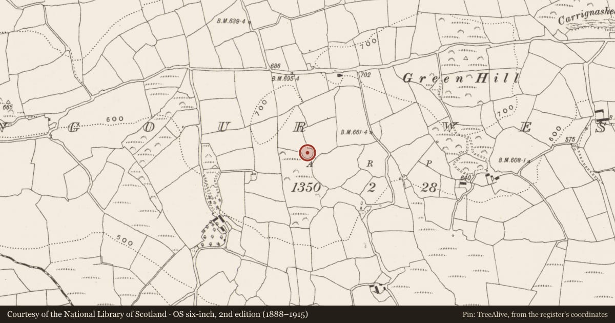 Ordnance Survey six-inch map, 2nd edition (1888–1915) covering the location of Ringfort - cashel, Bengour West, County Cork, with a pin at the register's coordinates