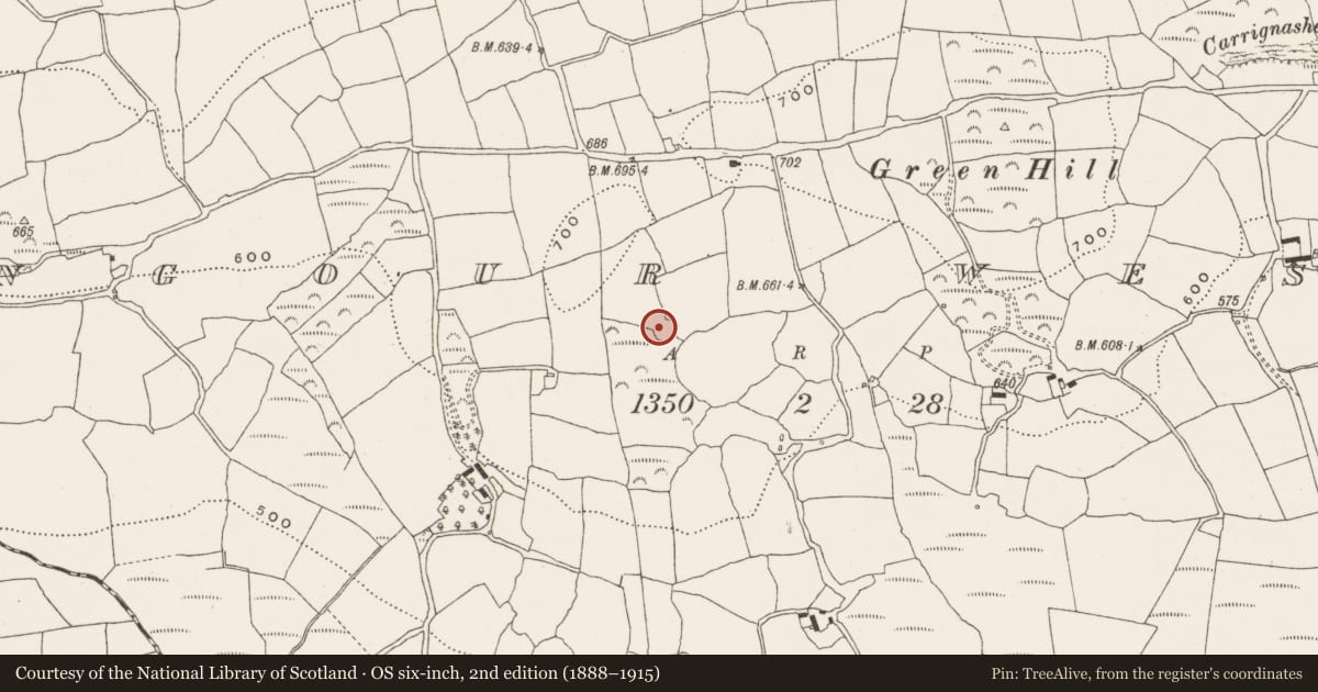 Ordnance Survey six-inch map, 2nd edition (1888–1915) covering the location of Souterrain, Bengour West, County Cork, with a pin at the register's coordinates