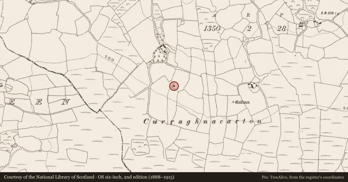 Ordnance Survey six-inch map, 2nd edition (1888–1915) covering the location of Ringfort - rath, Bengour West, County Cork, with a pin at the register's coordinates