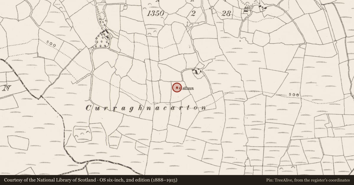 Ordnance Survey six-inch map, 2nd edition (1888–1915) covering the location of Standing stone, Bengour West, County Cork, with a pin at the register's coordinates