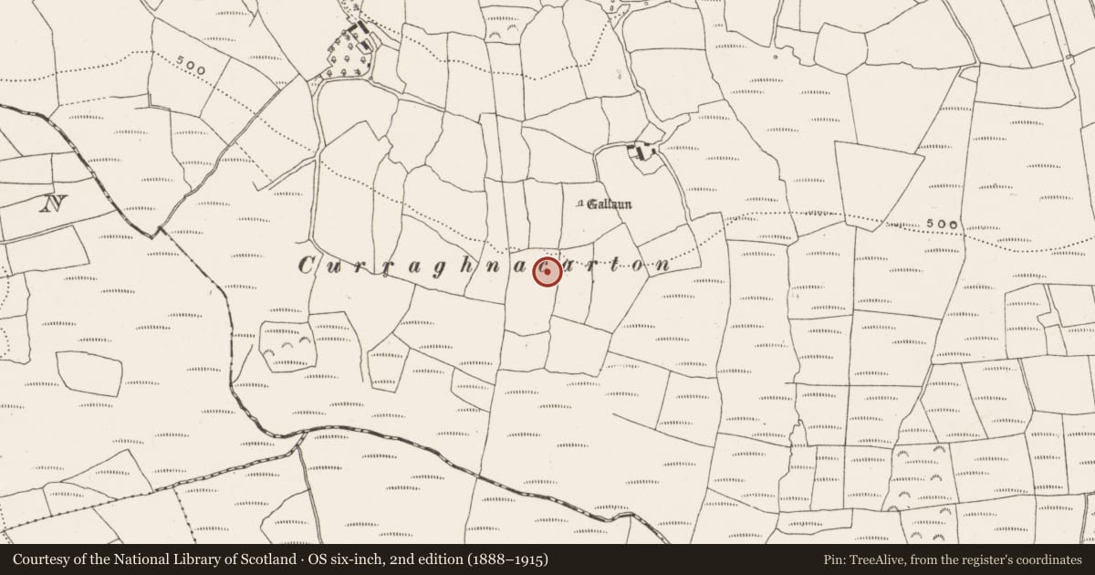 Ordnance Survey six-inch map, 2nd edition (1888–1915) covering the location of Ritual site - holy/saint's stone, Bengour West, County Cork, with a pin at the register's coordinates