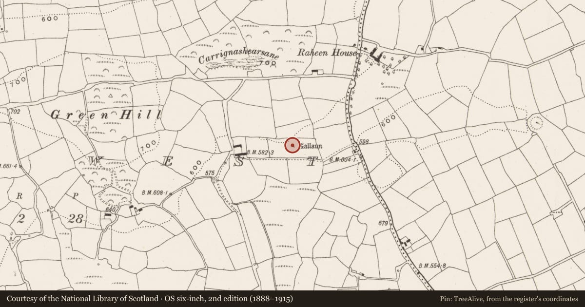 Ordnance Survey six-inch map, 2nd edition (1888–1915) covering the location of Standing stone, Bengour West, County Cork, with a pin at the register's coordinates