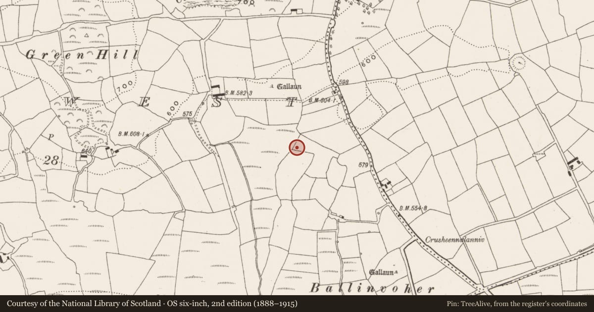 Ordnance Survey six-inch map, 2nd edition (1888–1915) covering the location of Ritual site - holy/saint's stone, Bengour West, County Cork, with a pin at the register's coordinates