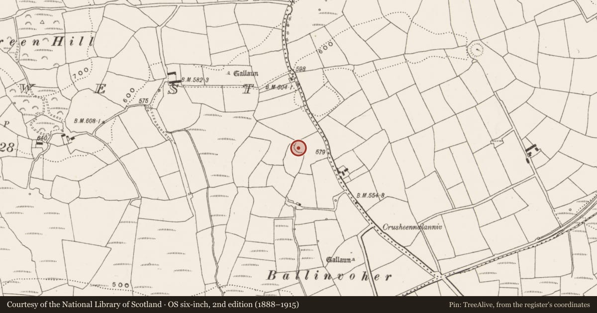 Ordnance Survey six-inch map, 2nd edition (1888–1915) covering the location of Ringfort - rath, Bengour West, County Cork, with a pin at the register's coordinates