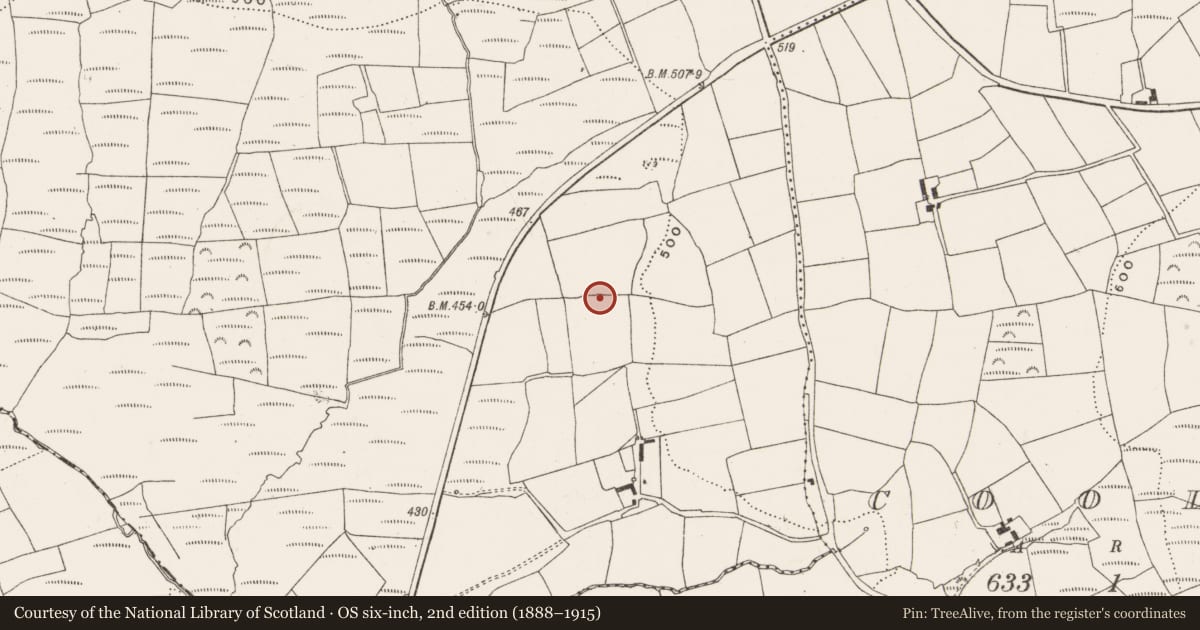 Ordnance Survey six-inch map, 2nd edition (1888–1915) covering the location of Ringfort - rath, Bengour West, County Cork, with a pin at the register's coordinates