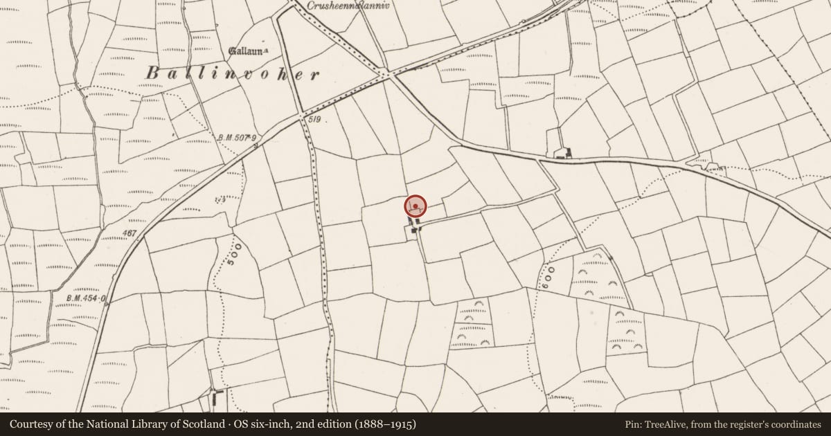 Ordnance Survey six-inch map, 2nd edition (1888–1915) covering the location of Souterrain, Coolanagh, County Cork, with a pin at the register's coordinates