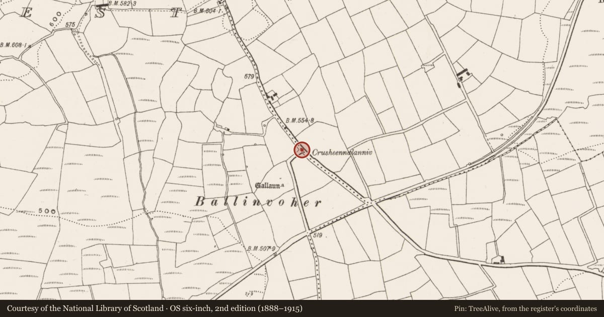 Ordnance Survey six-inch map, 2nd edition (1888–1915) covering the location of Burial ground, Bengour East, Bengour West, County Cork, with a pin at the register's coordinates