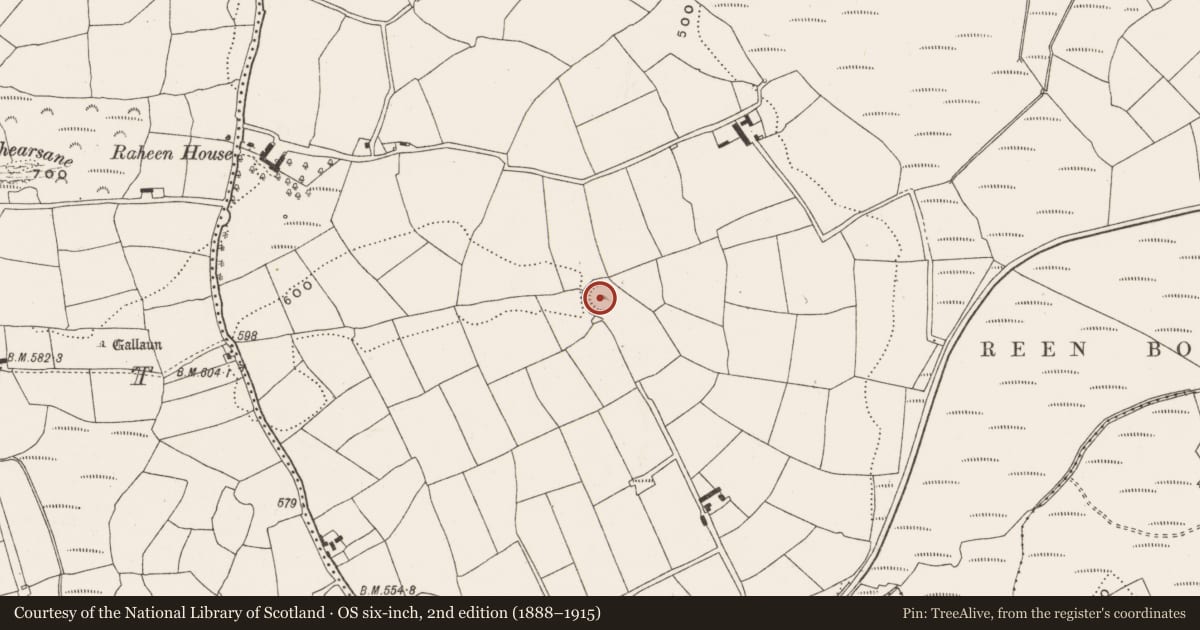 Ordnance Survey six-inch map, 2nd edition (1888–1915) covering the location of Souterrain, Bengour East, County Cork, with a pin at the register's coordinates