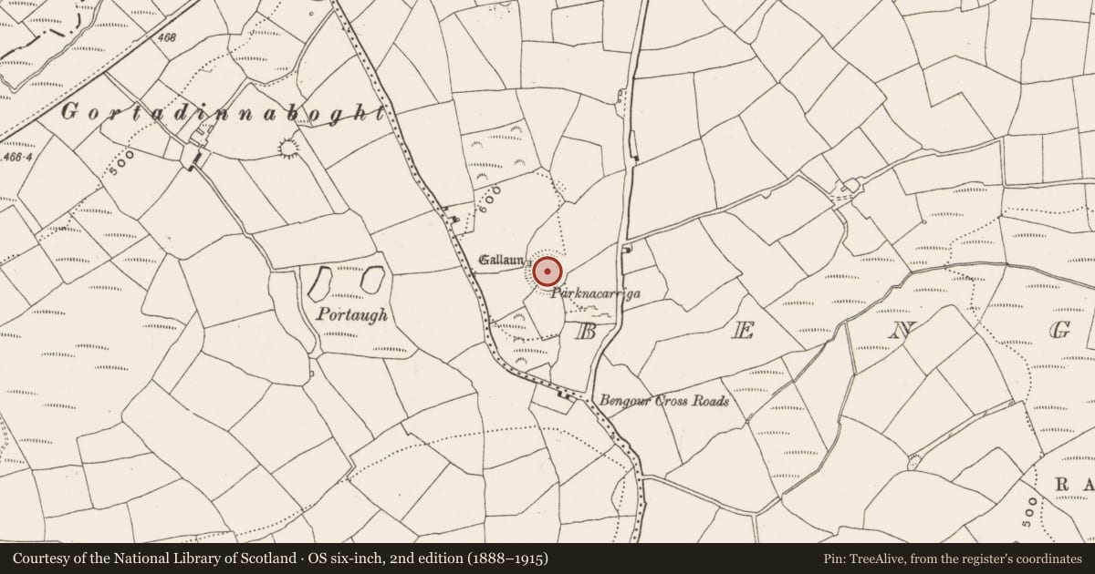 Ordnance Survey six-inch map, 2nd edition (1888–1915) covering the location of Souterrain, Bengour East, County Cork, with a pin at the register's coordinates