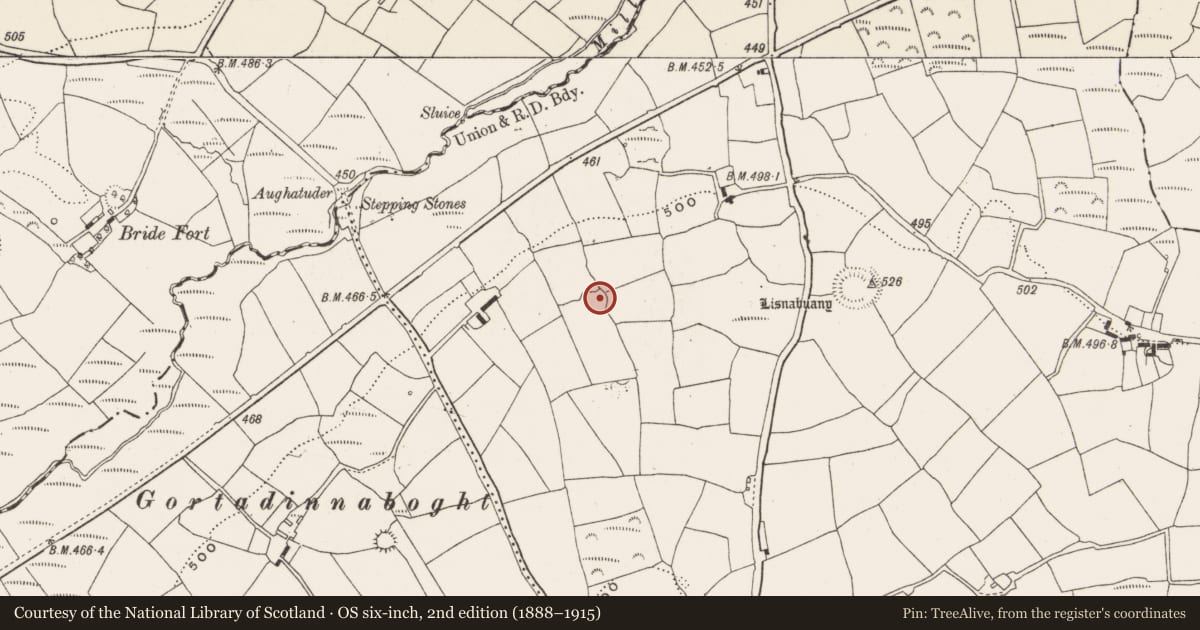 Ordnance Survey six-inch map, 2nd edition (1888–1915) covering the location of Ringfort - rath, Bengour East, County Cork, with a pin at the register's coordinates