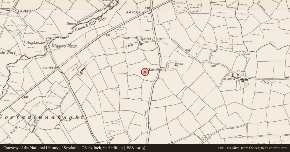 Ordnance Survey six-inch map, 2nd edition (1888–1915) covering the location of Ringfort - rath, Bengour East, County Cork, with a pin at the register's coordinates