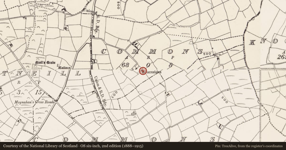 Ordnance Survey six-inch map, 2nd edition (1888–1915) covering the location of Ritual site - holy well, Commons, County Cork, with a pin at the register's coordinates