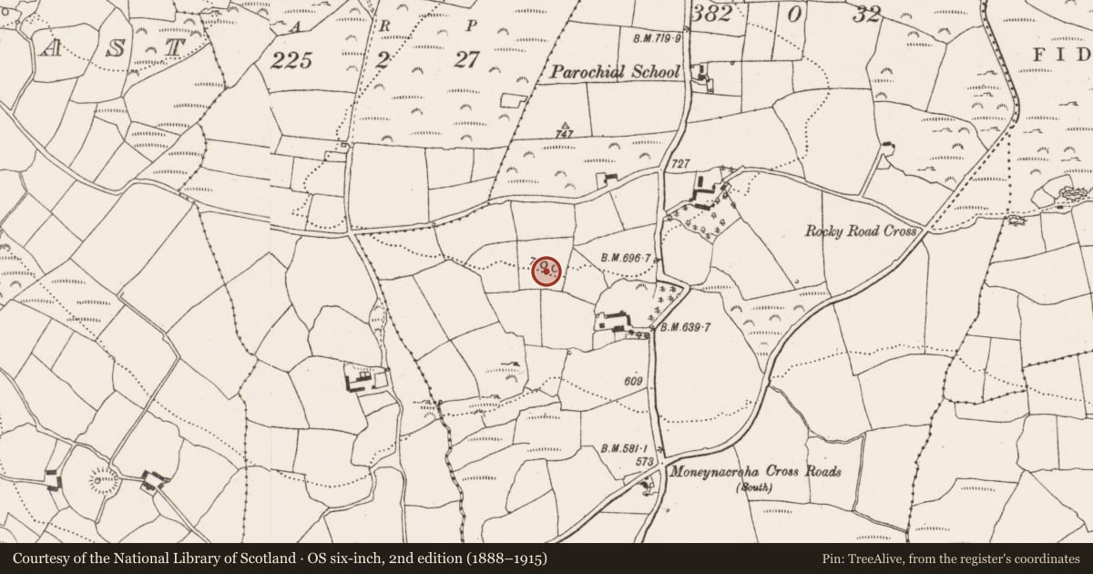 Ordnance Survey six-inch map, 2nd edition (1888–1915) covering the location of Standing stone, Moneynacroha, County Cork, with a pin at the register's coordinates