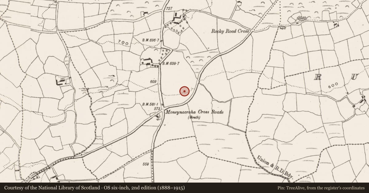 Ordnance Survey six-inch map, 2nd edition (1888–1915) covering the location of Ringfort - rath, Moneynacroha, County Cork, with a pin at the register's coordinates