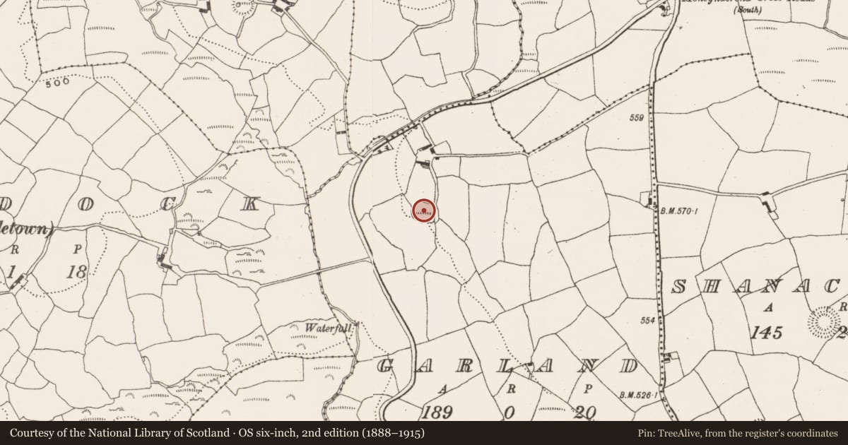 Ordnance Survey six-inch map, 2nd edition (1888–1915) covering the location of Souterrain, Garland, County Cork, with a pin at the register's coordinates