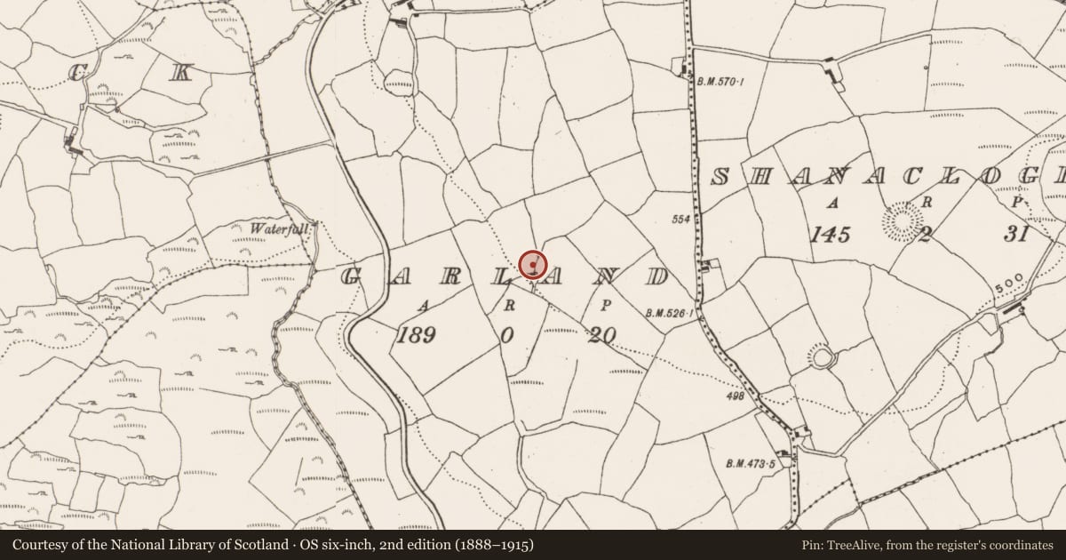 Ordnance Survey six-inch map, 2nd edition (1888–1915) covering the location of Ringfort - rath, Garland, County Cork, with a pin at the register's coordinates