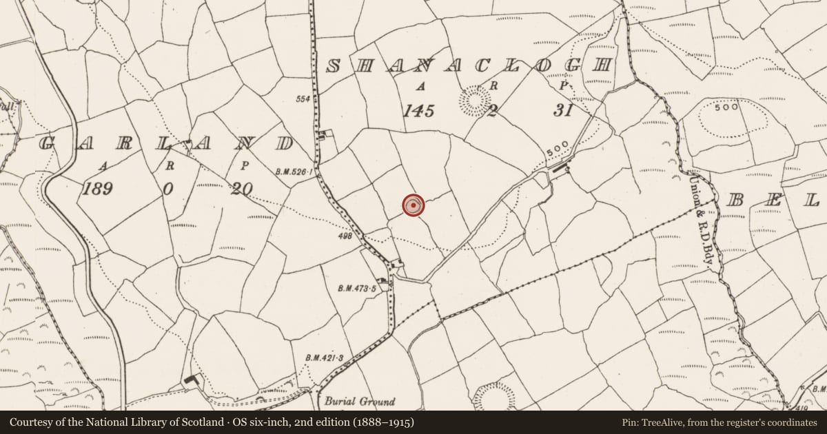 Ordnance Survey six-inch map, 2nd edition (1888–1915) covering the location of Ringfort - rath, Shanaclogh, County Cork, with a pin at the register's coordinates