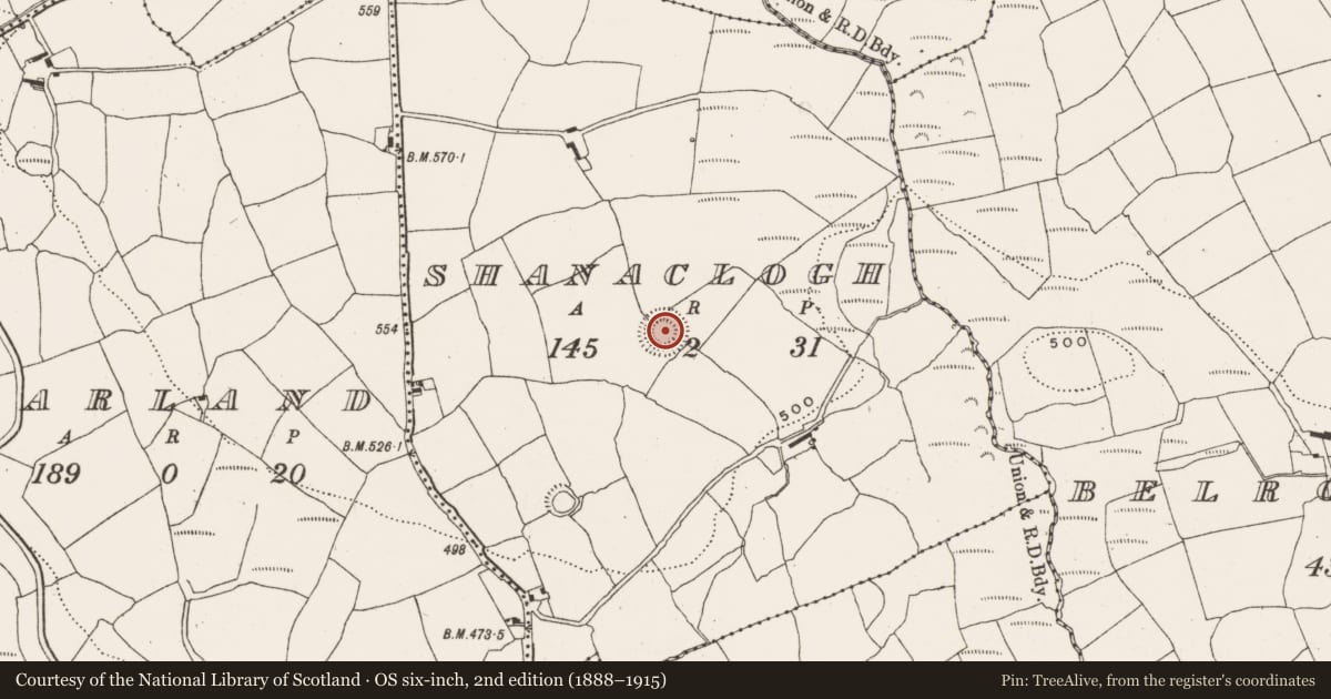 Ordnance Survey six-inch map, 2nd edition (1888–1915) covering the location of Ringfort - rath, Shanaclogh, County Cork, with a pin at the register's coordinates
