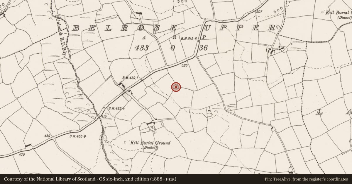 Ordnance Survey six-inch map, 2nd edition (1888–1915) covering the location of Ringfort - rath, Belrose Upper, County Cork, with a pin at the register's coordinates