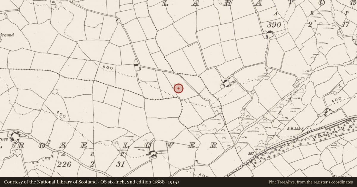 Ordnance Survey six-inch map, 2nd edition (1888–1915) covering the location of Ringfort - rath, Belrose Upper, County Cork, with a pin at the register's coordinates