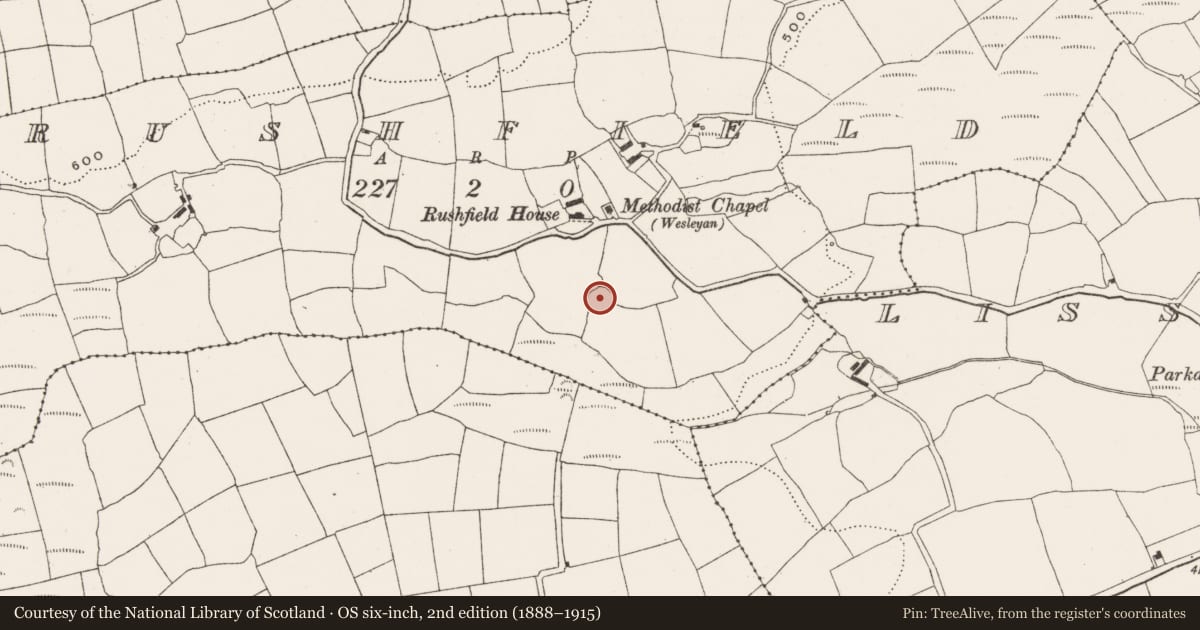 Ordnance Survey six-inch map, 2nd edition (1888–1915) covering the location of Souterrain, Rushfield, County Cork, with a pin at the register's coordinates