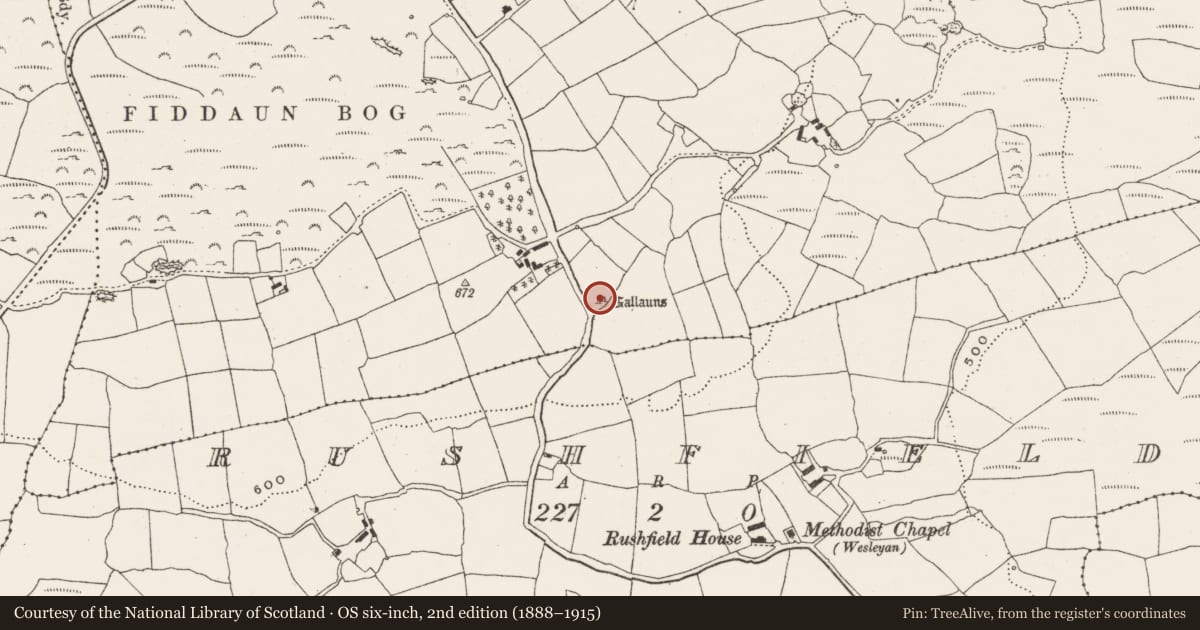 Ordnance Survey six-inch map, 2nd edition (1888–1915) covering the location of Standing stone, Farranmareen, County Cork, with a pin at the register's coordinates