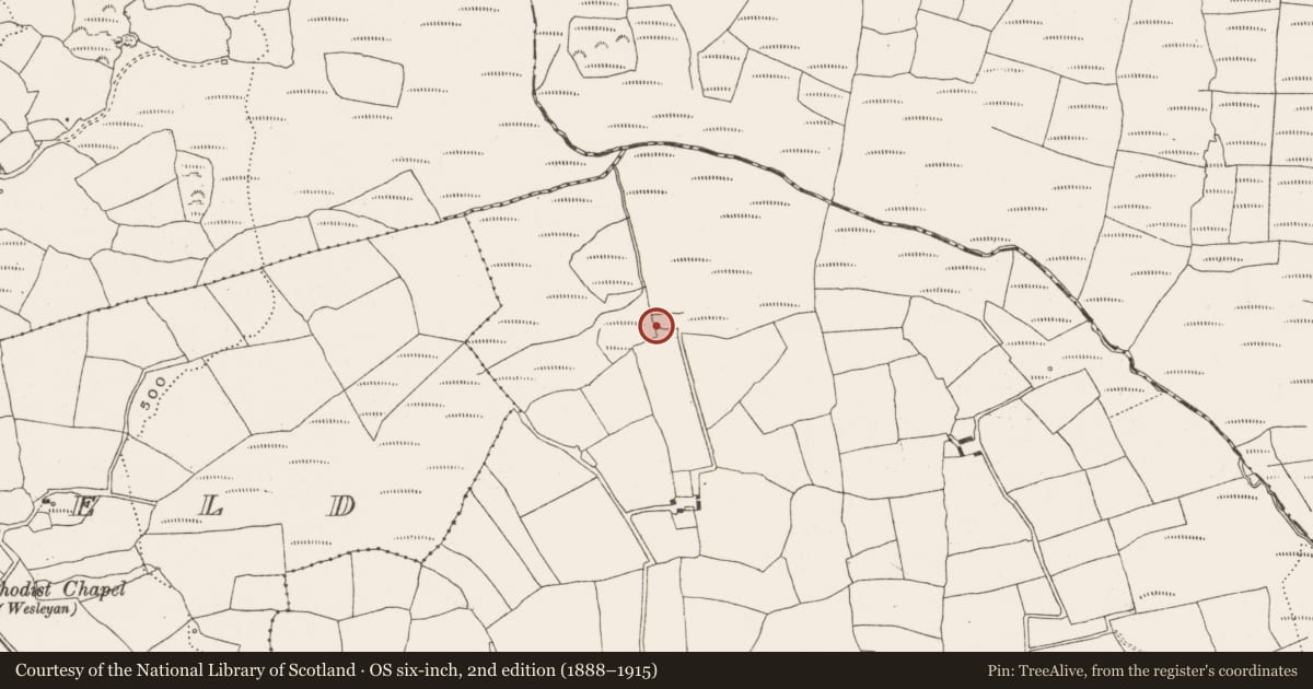 Ordnance Survey six-inch map, 2nd edition (1888–1915) covering the location of Kiln - lime, Lissarourke, County Cork, with a pin at the register's coordinates