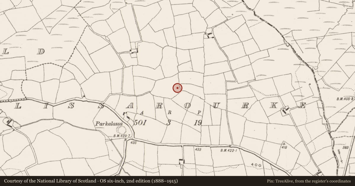 Ordnance Survey six-inch map, 2nd edition (1888–1915) covering the location of Boulder-burial, Lissarourke, County Cork, with a pin at the register's coordinates