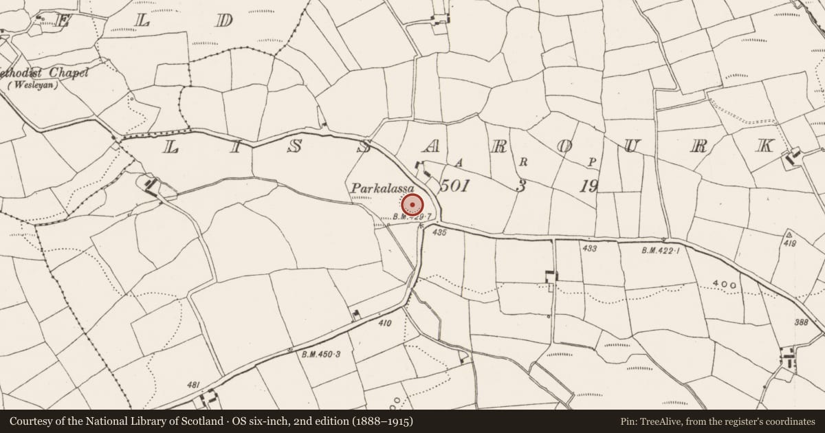 Ordnance Survey six-inch map, 2nd edition (1888–1915) covering the location of Ringfort - rath, Lissarourke, County Cork, with a pin at the register's coordinates