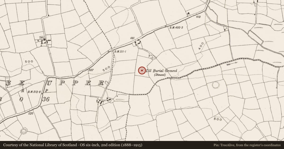 Ordnance Survey six-inch map, 2nd edition (1888–1915) covering the location of Burial ground, Lissarourke, County Cork, with a pin at the register's coordinates