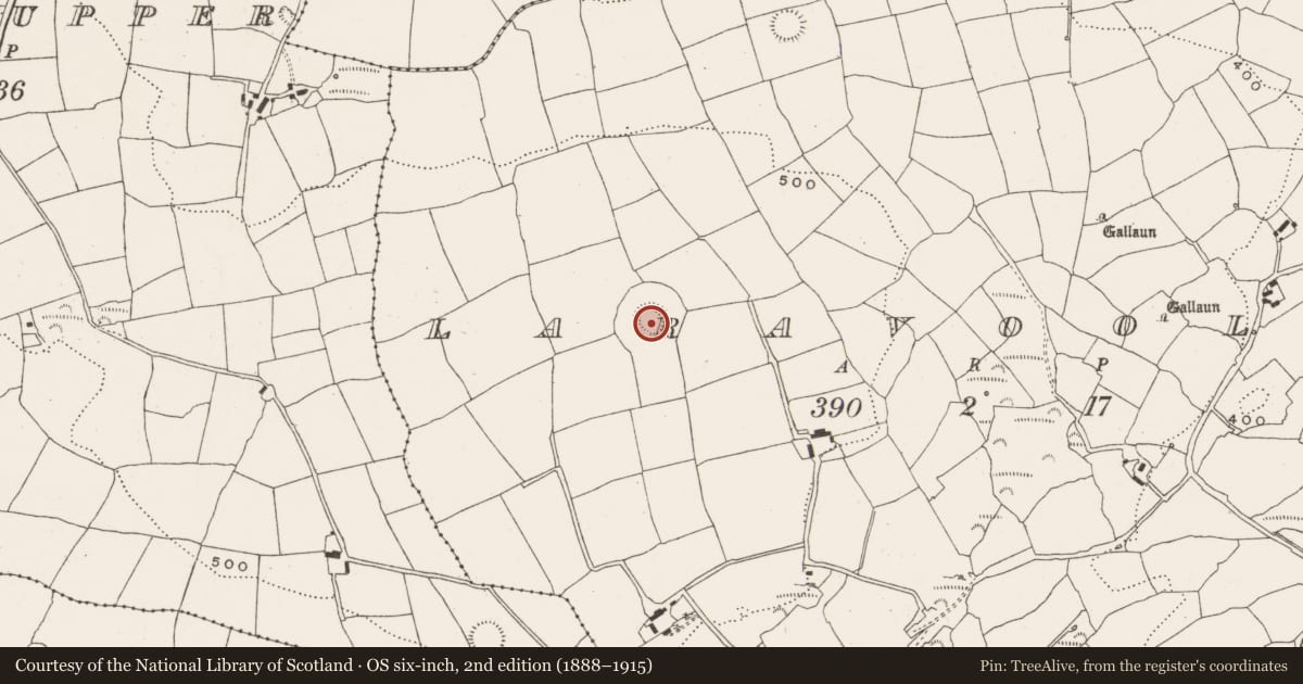 Ordnance Survey six-inch map, 2nd edition (1888–1915) covering the location of Souterrain, Laravoolta, County Cork, with a pin at the register's coordinates