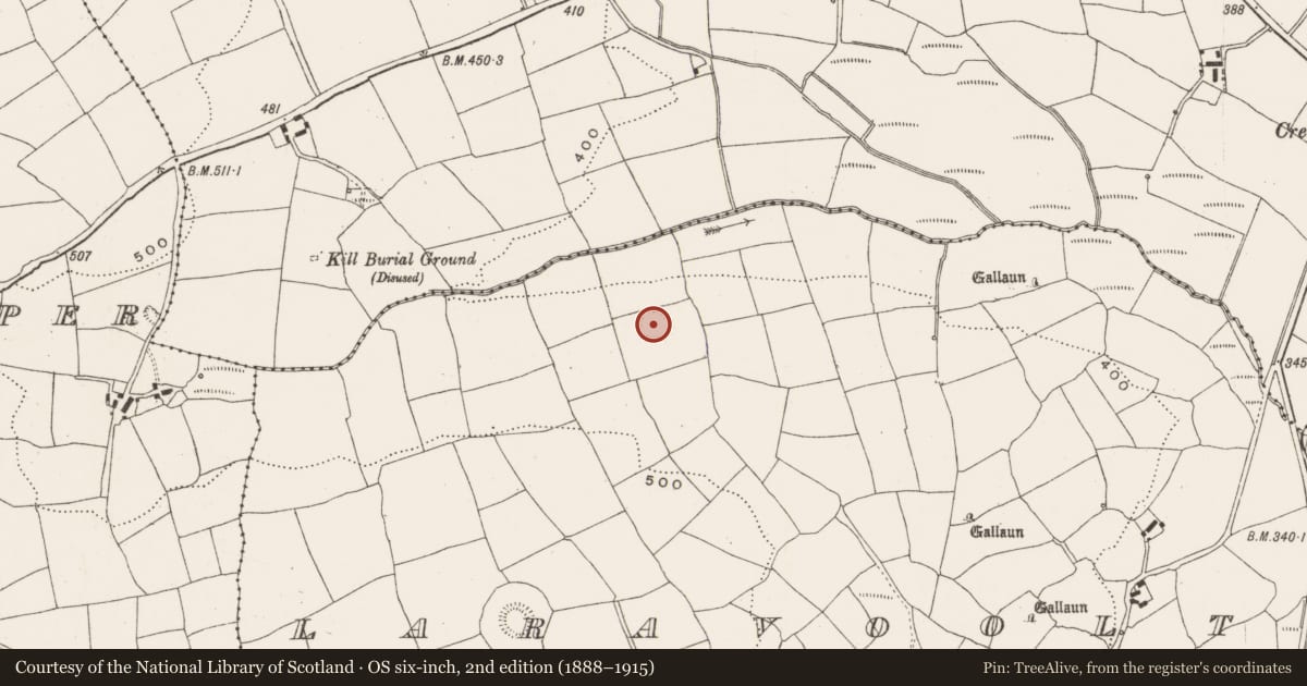 Ordnance Survey six-inch map, 2nd edition (1888–1915) covering the location of Ringfort - rath, Laravoolta, County Cork, with a pin at the register's coordinates