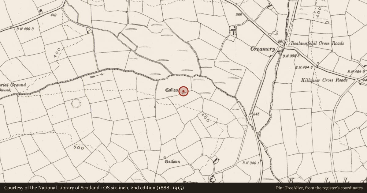 Ordnance Survey six-inch map, 2nd edition (1888–1915) covering the location of Standing stone, Laravoolta, County Cork, with a pin at the register's coordinates