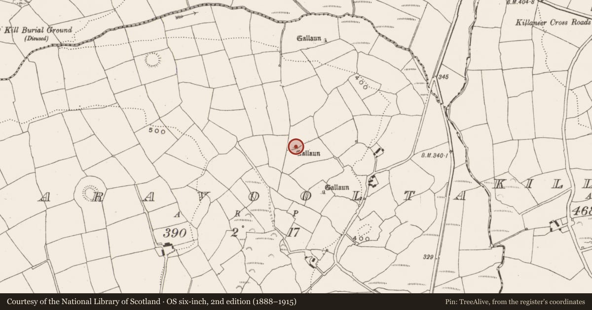 Ordnance Survey six-inch map, 2nd edition (1888–1915) covering the location of Standing stone, Laravoolta, County Cork, with a pin at the register's coordinates