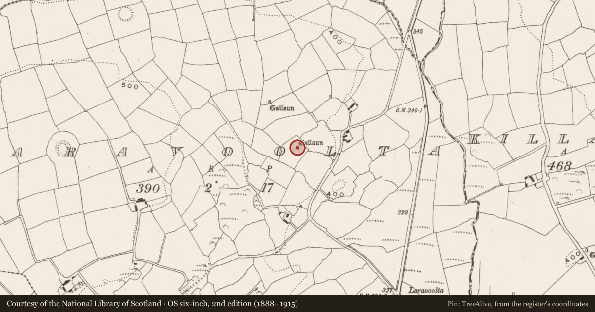 Ordnance Survey six-inch map, 2nd edition (1888–1915) covering the location of Standing stone, Laravoolta, County Cork, with a pin at the register's coordinates