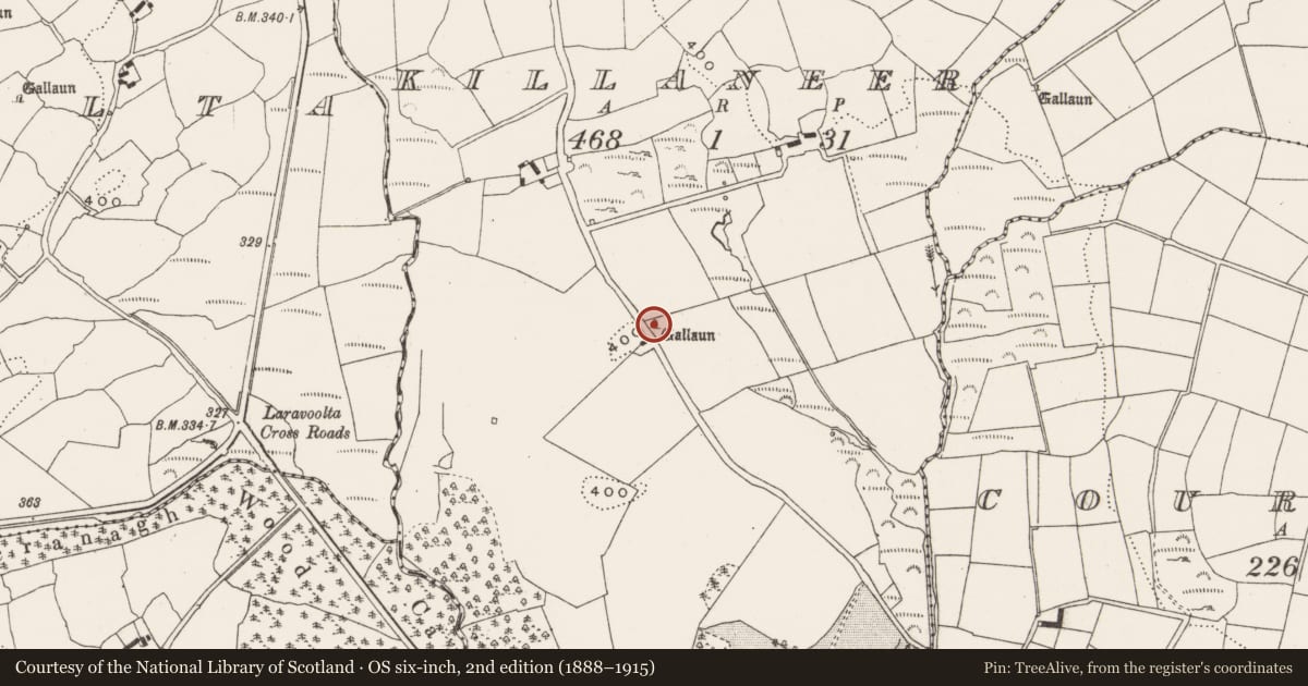 Ordnance Survey six-inch map, 2nd edition (1888–1915) covering the location of Standing stone, Killaneer, County Cork, with a pin at the register's coordinates