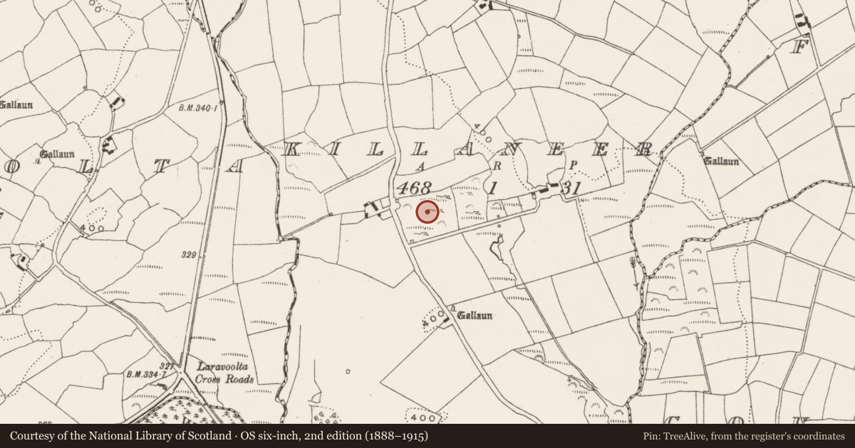 Ordnance Survey six-inch map, 2nd edition (1888–1915) covering the location of Anomalous stone group, Killaneer, County Cork, with a pin at the register's coordinates
