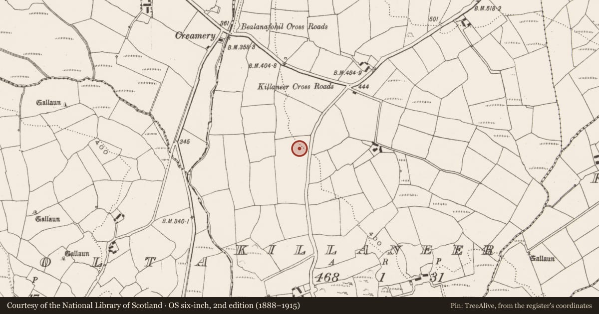 Ordnance Survey six-inch map, 2nd edition (1888–1915) covering the location of Ringfort - rath, Killaneer, County Cork, with a pin at the register's coordinates