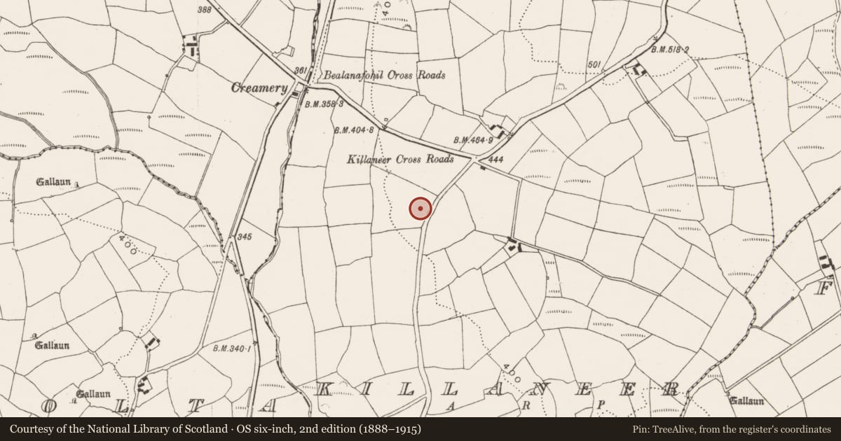 Ordnance Survey six-inch map, 2nd edition (1888–1915) covering the location of Ringfort - rath, Killaneer, County Cork, with a pin at the register's coordinates