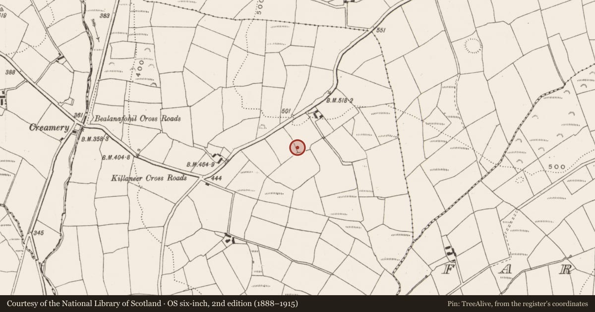 Ordnance Survey six-inch map, 2nd edition (1888–1915) covering the location of Megalithic structure, Killaneer, County Cork, with a pin at the register's coordinates