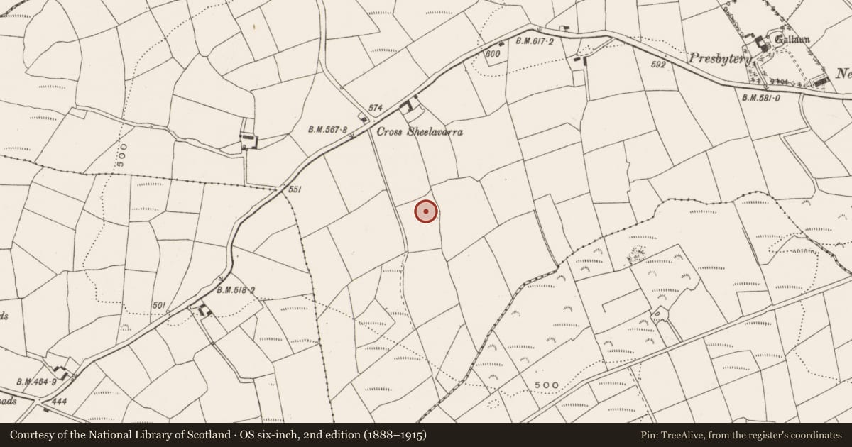 Ordnance Survey six-inch map, 2nd edition (1888–1915) covering the location of Ringfort - rath, Coolanagh, County Cork, with a pin at the register's coordinates