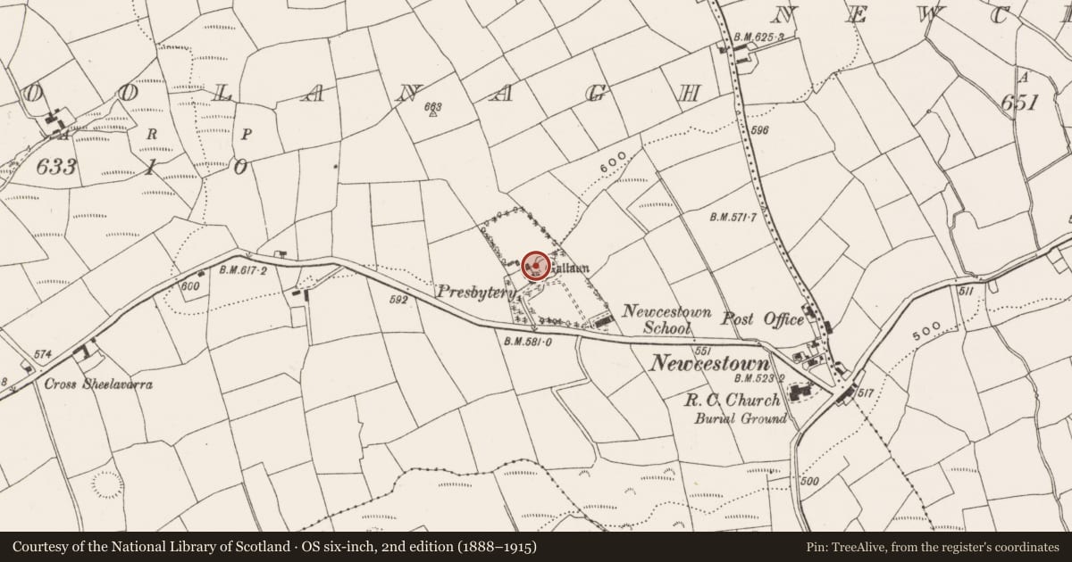 Ordnance Survey six-inch map, 2nd edition (1888–1915) covering the location of Standing stone, Coolanagh, County Cork, with a pin at the register's coordinates